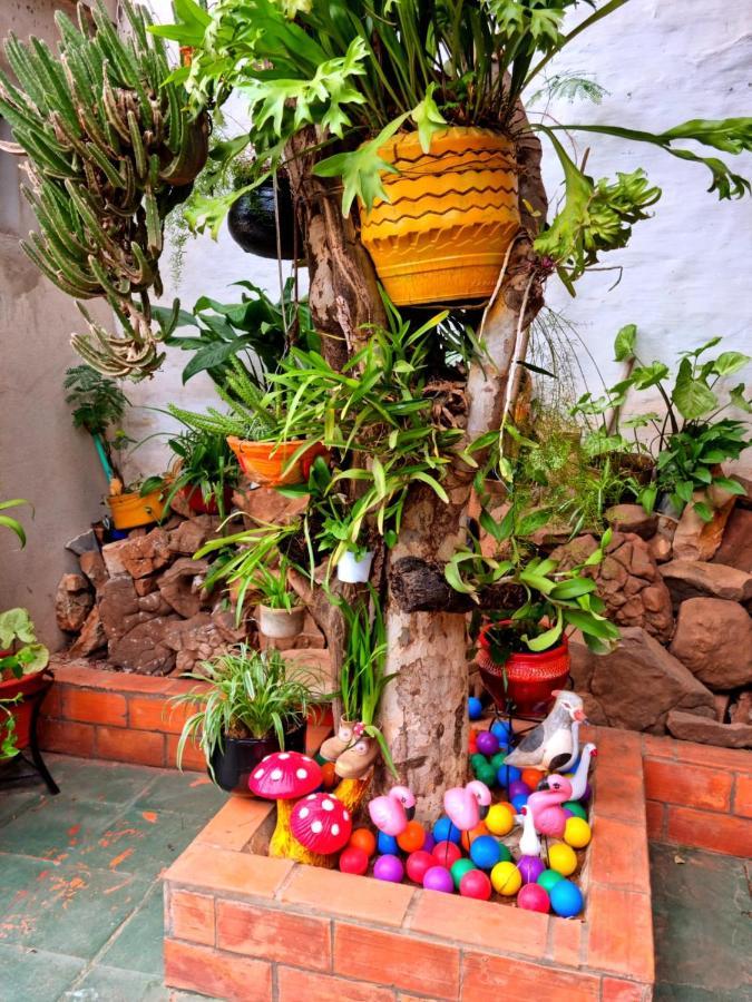 Hostal Jardin De Luque سان لورينزو المظهر الخارجي الصورة